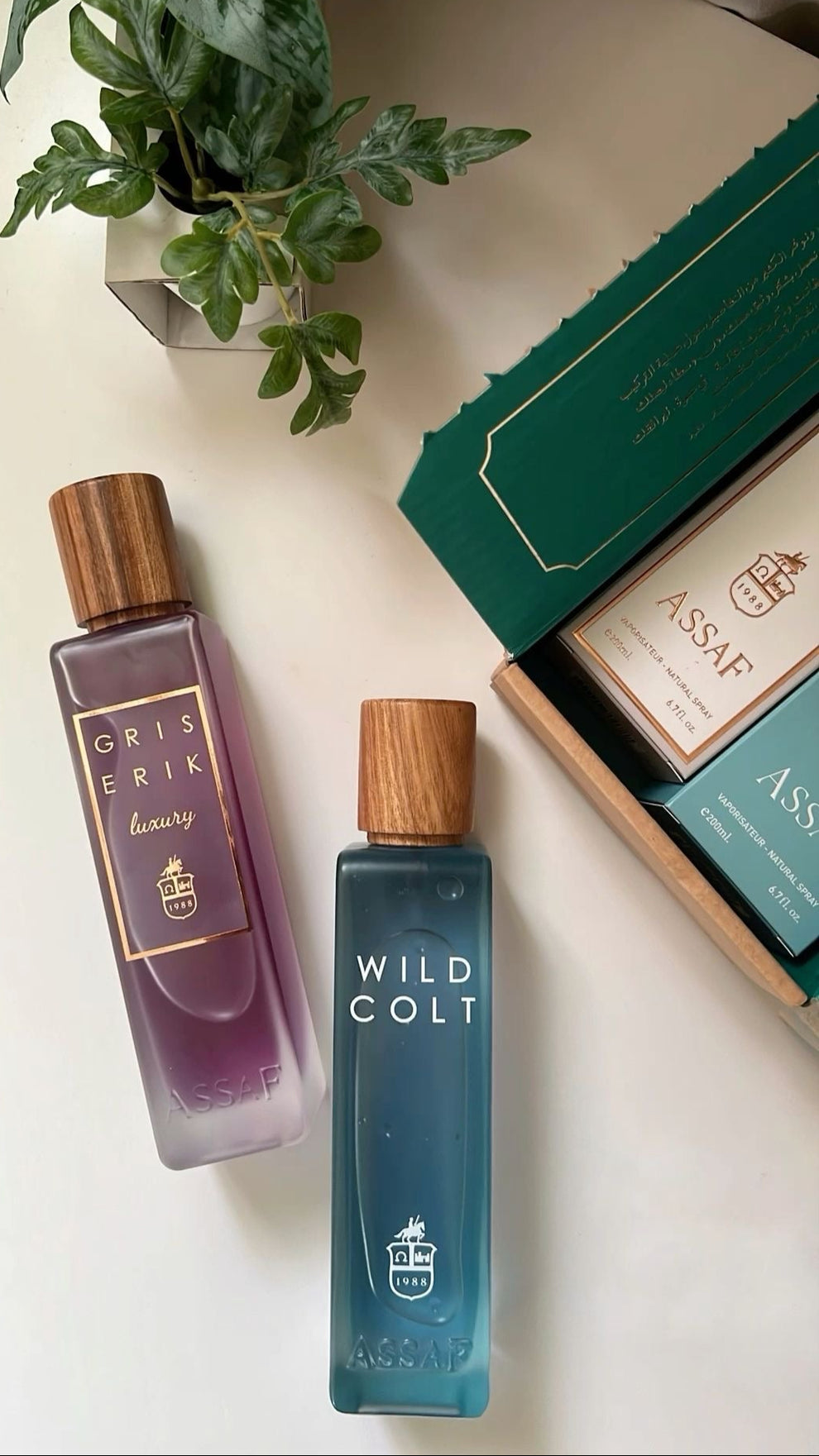 بكج وايلد كولت وجريس اريك من عسافWild Colt and Gris Erik